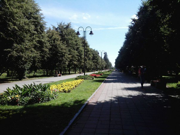 Центральний парк ім Лесі Українки, Луцьк